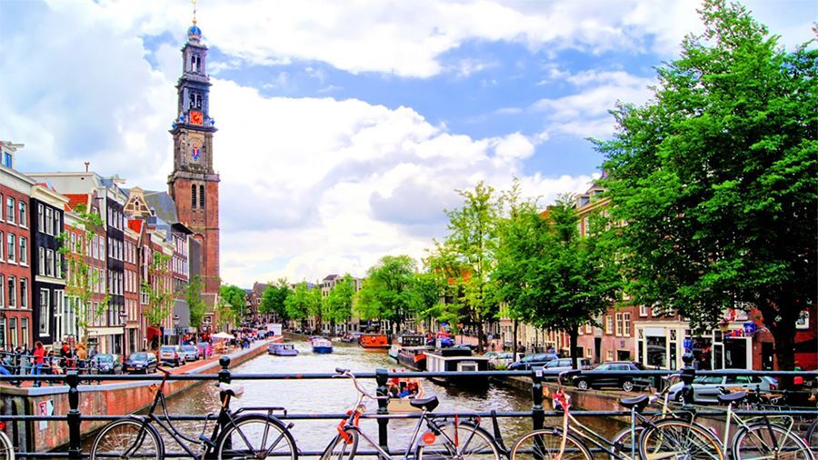 ЦБ Нидерландов получил 39 заявок на регистрацию криптовалютных компаний
