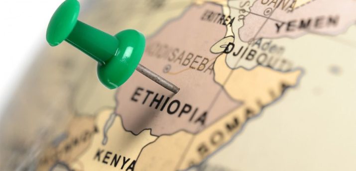 IOHK внедрит блокчейн в систему образования Эфиопии - Bits Media