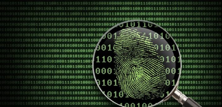В Нидерландах арестованы трое подозреваемых в мошенничестве с криптовалютами - Bits Media