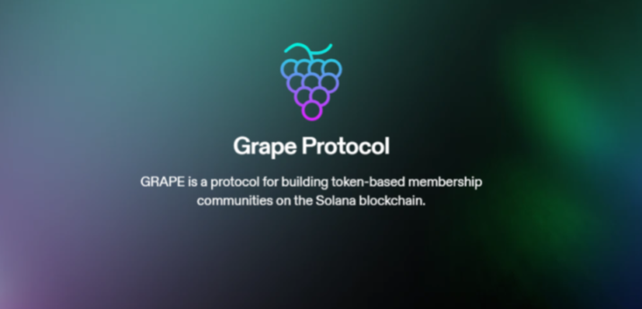 Протокол Grape привлек $1 200 000 финансирования - Bits Media