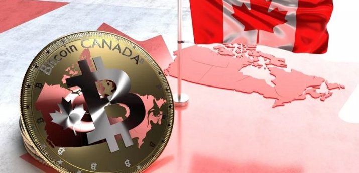 Канадский регулятор обвинил CEO Coinbase и Kraken в антиправительственной деятельности - Bits Media