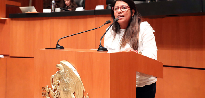 Мексиканская конгрессвумен предложила легализовать биткоин в стране - Bits Media