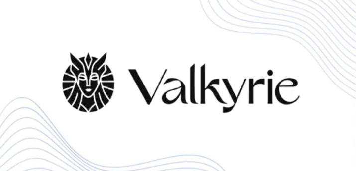 Valkyrie Investments запустила траст на базе блокчейна Avalanche - Bits Media