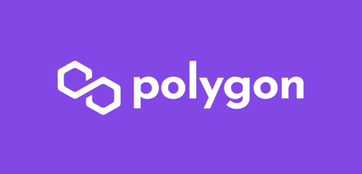 Polygon Studios предложила разработчикам Terra помощь для перехода в сеть - Bits Media
