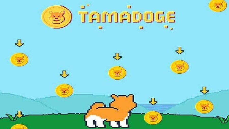 Tamadoge: обзор проекта, преимущества, анализ цены - Bits Media